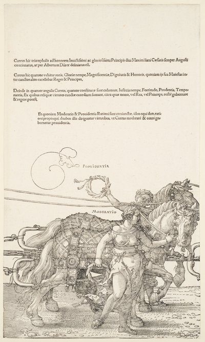  da Albrecht Dürer