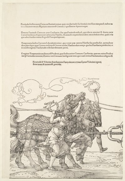 da Albrecht Dürer