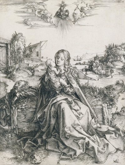  da Albrecht Dürer