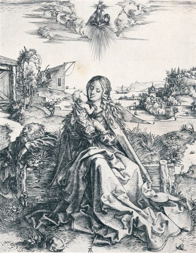 La Sacra Famiglia con la libellula, 1495 1906 da Albrecht Dürer