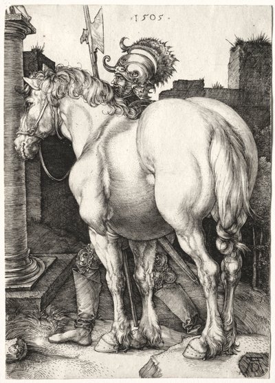 Il Cavallo Grande da Albrecht Dürer