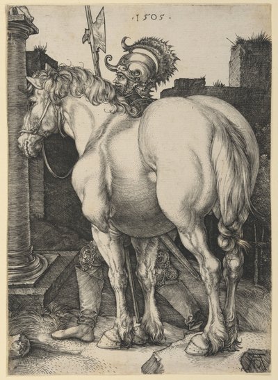  da Albrecht Dürer