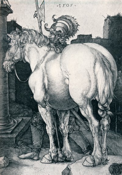 Il grande cavallo da Albrecht Dürer