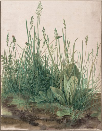 Il grande pezzo di erba da Albrecht Dürer