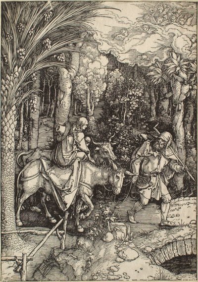  da Albrecht Dürer