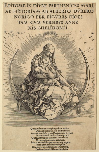  da Albrecht Dürer