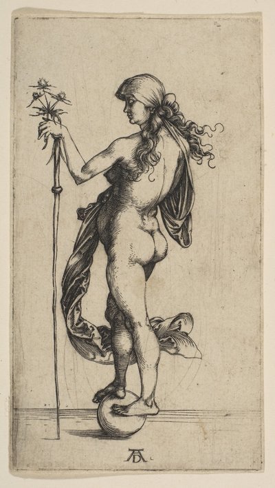 La piccola fortuna da Albrecht Dürer
