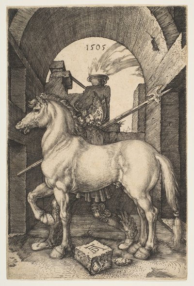 Il Cavallino da Albrecht Dürer