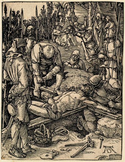  da Albrecht Dürer