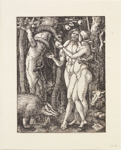  da Albrecht Dürer