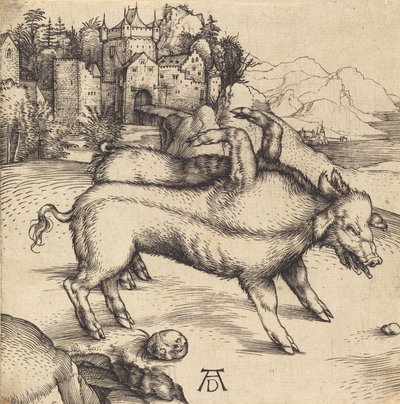 Il maiale mostruoso di Landser da Albrecht Dürer
