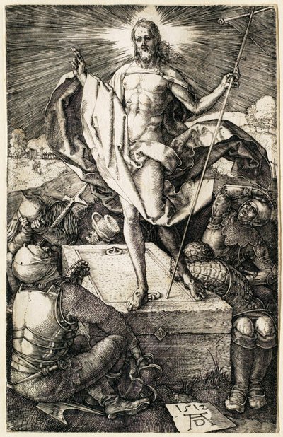  da Albrecht Dürer