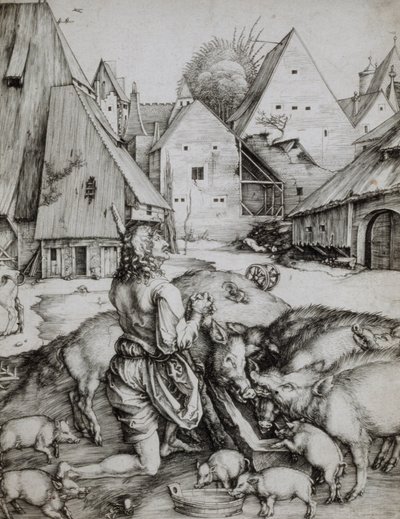  da Albrecht Dürer