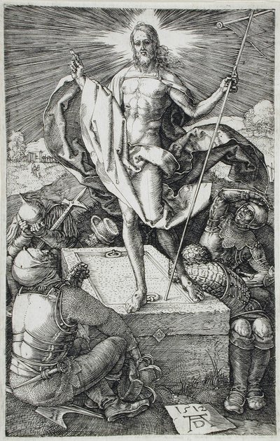  da Albrecht Dürer