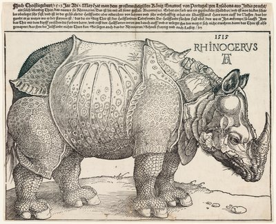 Il rinoceronte da Albrecht Dürer