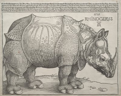 Il rinoceronte da Albrecht Dürer
