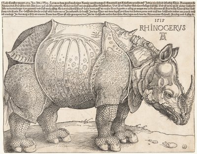  da Albrecht Dürer