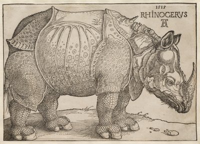 Il rinoceronte da Albrecht Dürer