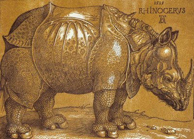 Il rinoceronte da Albrecht Dürer