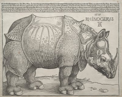 Il Rinoceronte, 1515 da Albrecht Dürer