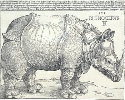 Il rinoceronte, 1515 da Albrecht Dürer