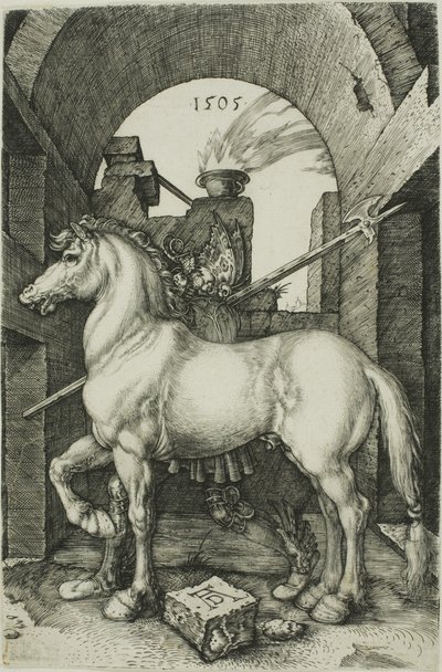Il piccolo cavallo da Albrecht Dürer
