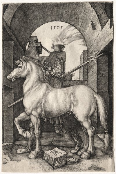 Il Cavallo Piccolo da Albrecht Dürer