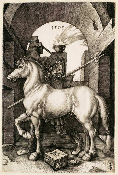  da Albrecht Dürer