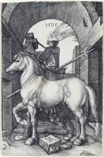 Il piccolo cavallo, 1505 da Albrecht Dürer