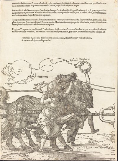Il carro trionfale di Massimiliano I (Il grande carro trionfale) [tavola 5 di 8] da Albrecht Dürer
