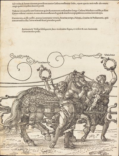 Il carro trionfale di Massimiliano I (Il grande carro trionfale) [tavola 6 di 8] da Albrecht Dürer