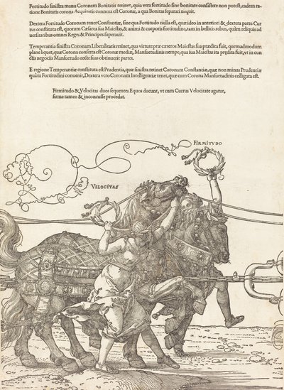 Il carro trionfale di Massimiliano I Il grande carro trionfale [tavola 5 di 8], 1523 edizione latina da Albrecht Dürer