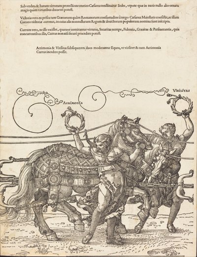 Il carro trionfale di Massimiliano I, Il grande carro trionfale [tavola 6 di 8], 1523 ed. latina da Albrecht Dürer