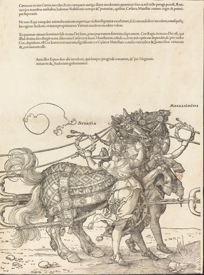 Il Carro Trionfale di Massimiliano I Il Grande Carro Trionfale [tavola 7 di 8] da Albrecht Dürer