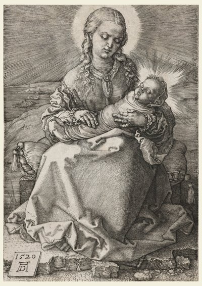 La Vergine e il Bambino in fasce da Albrecht Dürer