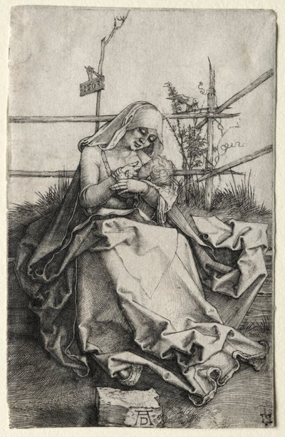 La Vergine e il Bambino su una panchina erbosa da Albrecht Dürer