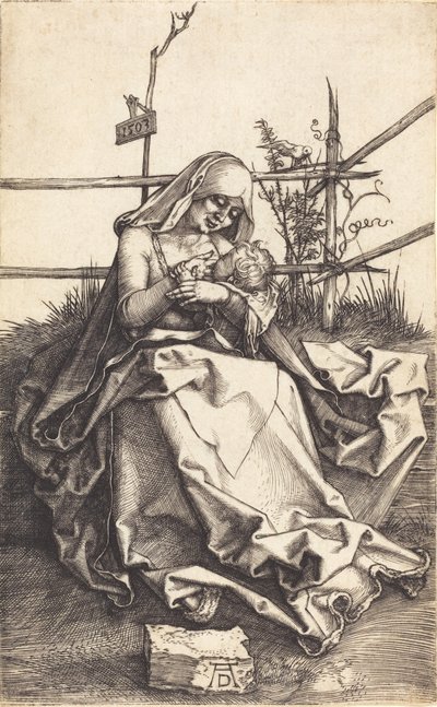 La Vergine e il Bambino su una panchina erbosa, 1503 da Albrecht Dürer