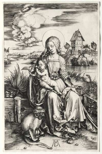 La Vergine e il Bambino con una scimmia, c. 1498 da Albrecht Dürer