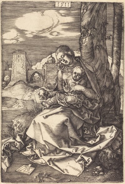 da Albrecht Dürer