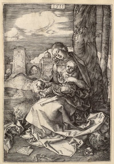  da Albrecht Dürer