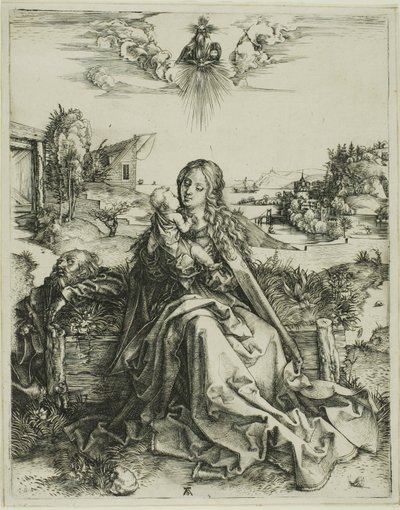 La Vergine con la libellula da Albrecht Dürer