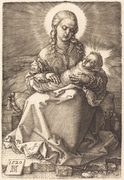  da Albrecht Dürer