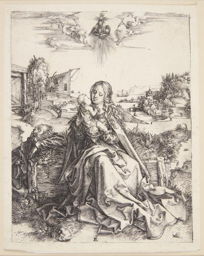 La Vergine con la libellula da Albrecht Dürer