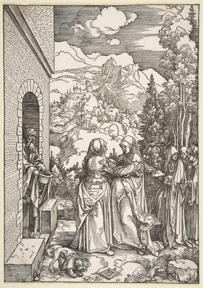  da Albrecht Dürer
