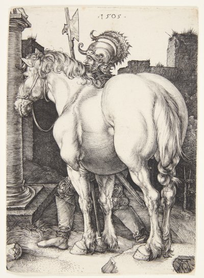 Il grande cavallo da Albrecht Dürer