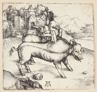 La scrofa mostruosa di Landser da Albrecht Dürer