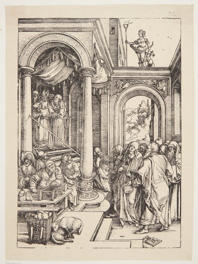 La presentazione della Vergine al tempio da Albrecht Dürer