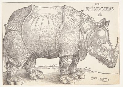 Il rinoceronte da Albrecht Dürer