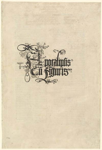 Pagina del titolo da Albrecht Dürer