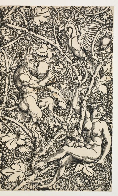 Due disegni per arazzo con famiglia di satiri da Albrecht Dürer